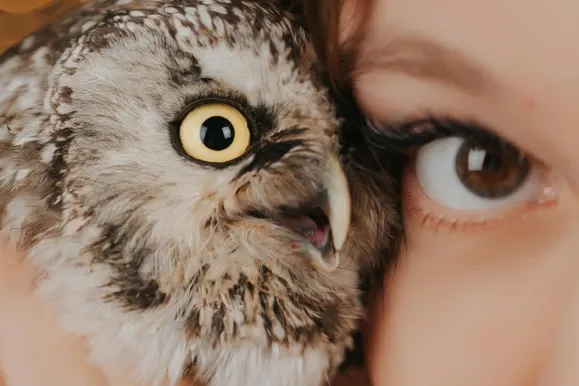 PlayFortuna Casino Suporte